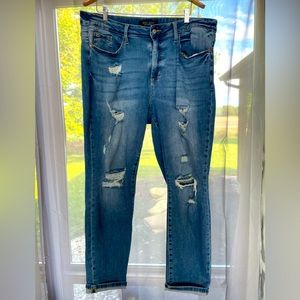 Judy Blue Boyfriend Fit 18W